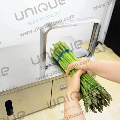 Plastic Multi Purpose Portable Vegetable Tape Binding Wrapping Bundling Banding Strapping Machine