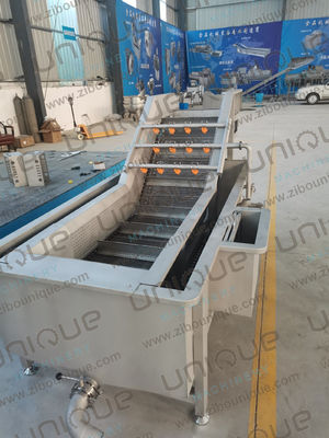 Industrial Fruit and Vegetable Bubble Washing Machine for Lemon Pineapple Passion Fruit