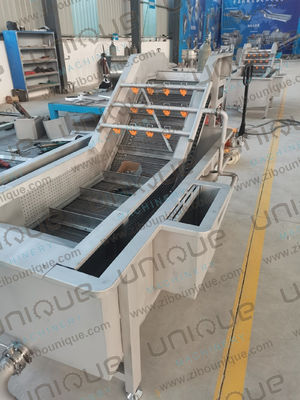 Industrial Fruit and Vegetable Bubble Washing Machine for Lemon Pineapple Passion Fruit