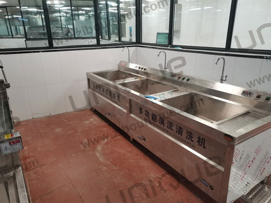 Stainless Steel Vegetable Fruit Mini Washing Machine With Ozone for 200-400kg/h Capacity
