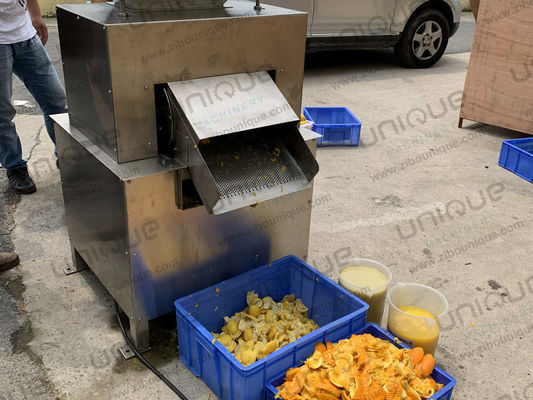 Fruit Pulping Pulpy Mango Juice Making Machine juice Processing Machine