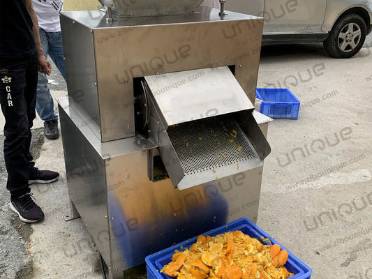 Fruit Pulping Pulpy Mango Juice Making Machine juice Processing Machine