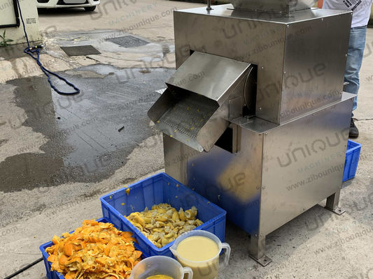 Fruit Pulping Pulpy Mango Juice Making Machine juice Processing Machine