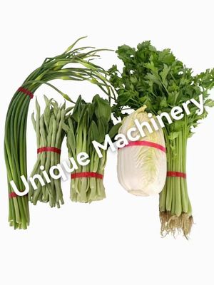 Easy to Operate Automatic Induction Banding Tying Machine for Food and Vegetable Binding