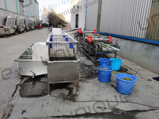 Zibounique 5900*1760*1600 mm Mung Bean Sprout Husk Removing and Skin Peeling Machine