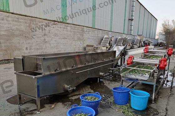 Design Alfalfa / Micro Greens Vegetable Bubble Washing Machine for Food Beverage Shops