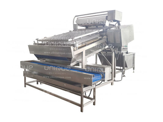 4kw Automatic Shrimp Head Shell Removing Peeling Machine Transforming Food Beverage Shops