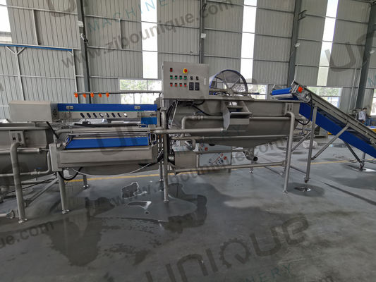 Salad Leaf Vegetable Processing Line Take Your Salad Production to the Next Level