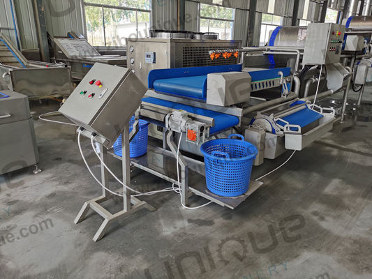 Salad Leaf Vegetable Processing Line Take Your Salad Production to the Next Level