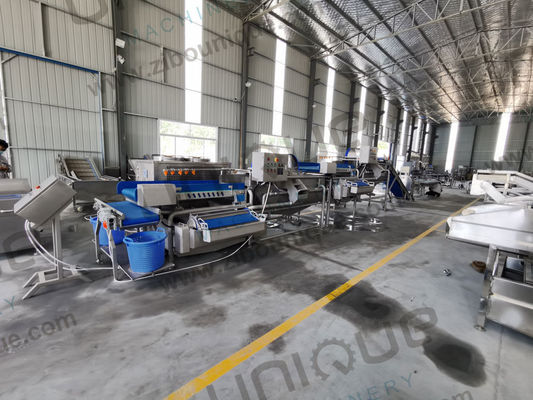 Professional Salad Leaf and Herbs Cutting Machine for Versatile Vegetable Cutting