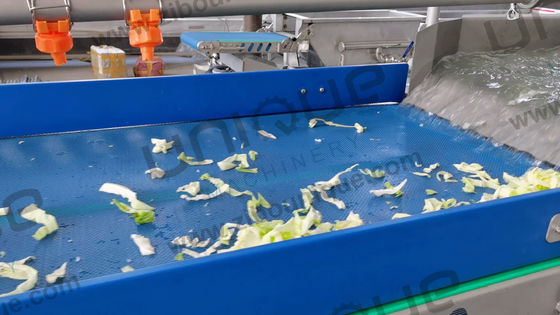Salad Leaf Vegetable Processing Line Take Your Salad Production to the Next Level
