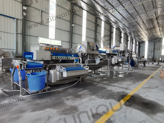 Salad Processing Made Easy Vegetable Washing Machine for Baby Spinach Lettuce Cabbage