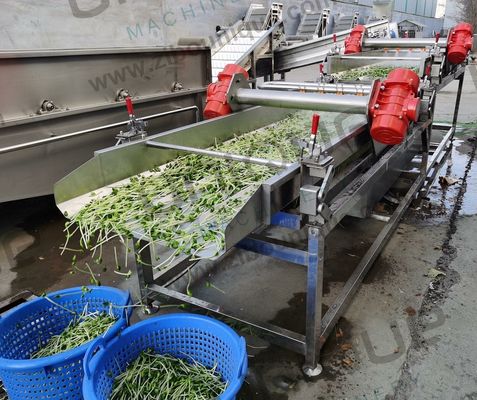 Zibounique 5900*1760*1600 mm Mung Bean Sprout Husk Removing and Skin Peeling Machine