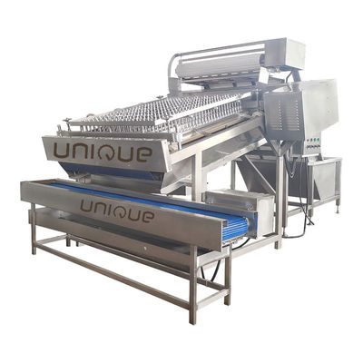 300 kg/h Capacity Shrimp Skin Peeling Machine with State-of-the-Art Cleaning System