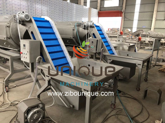 380V Good Effect Washing Peeling Vegetables Machine for Large Scale Vegetable Processing