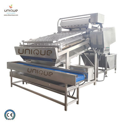 300 Kg/H Shrimp Peeling Machine Prawn Shelling Solution Cleaning Machine