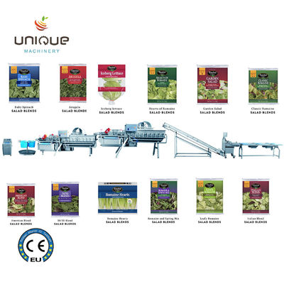 Fruit and Vegetables Vegetable Salad Washing Line with 5000 KG Processing Efficiency