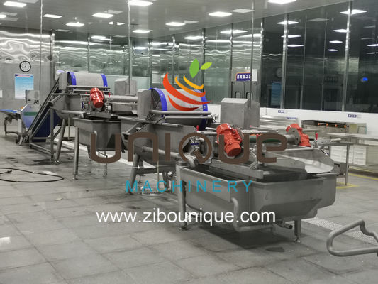 Fruit and Vegetables Vegetable Salad Washing Line with 5000 KG Processing Efficiency