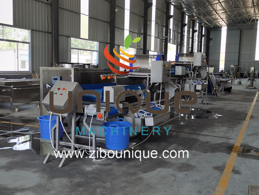 Commercial Usage Green Tea Washing Line for Myanmar Tea Leaf Processing from Zibounique