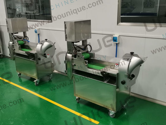 Multi-function Vegetable Cutter for Kitchen and Hotel Video Technical Support After Service