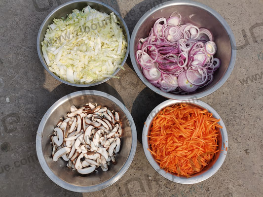 Multi-function Vegetable Cutter for Kitchen and Hotel Video Technical Support After Service