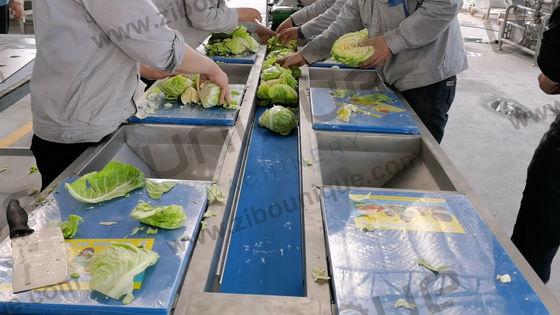 Fruit and Vegetables Vegetable Salad Washing Line with 5000 KG Processing Efficiency