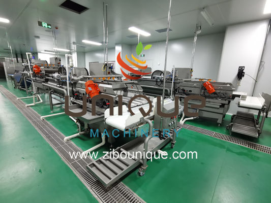Fruit and Vegetables Vegetable Salad Washing Line with 5000 KG Processing Efficiency