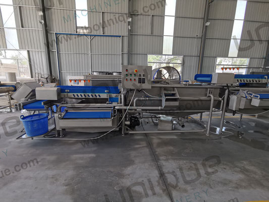 2200 KG Fruit and Vegetables Vacuum Packed Potato Processing Line for Precise Cutting
