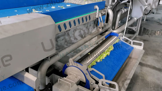 Salad Leaf Vegetable Processing Line Take Your Salad Production to the Next Level