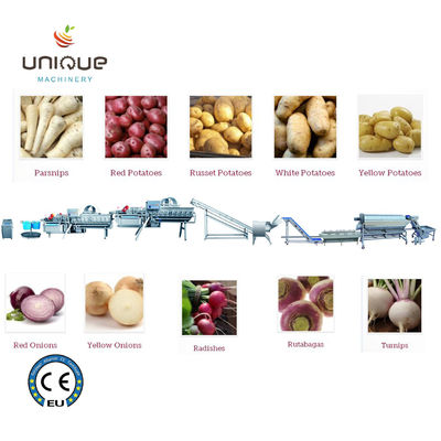 2200 KG Fruit and Vegetables Vacuum Packed Potato Processing Line for Precise Cutting