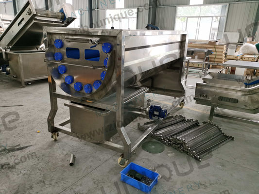 Advanced Dates Palm Processing Machine with Automatic Brush Cleaning and Washing