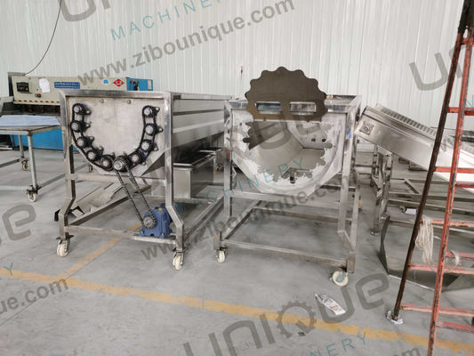 Advanced Dates Palm Processing Machine with Automatic Brush Cleaning and Washing