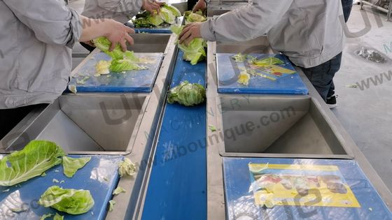 Versatile Stainless Steel Vegetable Conveying and Picking Table for Hotels 220v/380v
