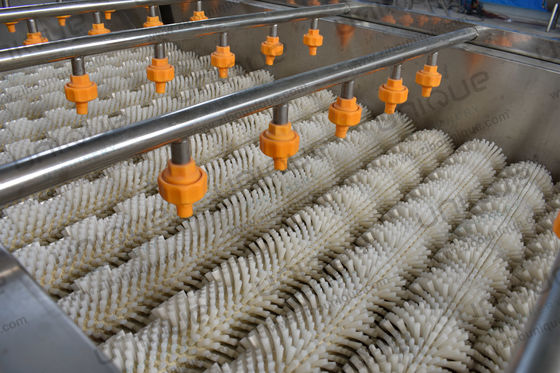 Continuous Vegetable and Fruit Spiral Brush Roller Washer with Cleaning Equipment
