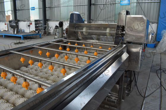 Continuous Vegetable and Fruit Spiral Brush Roller Washer with Cleaning Equipment