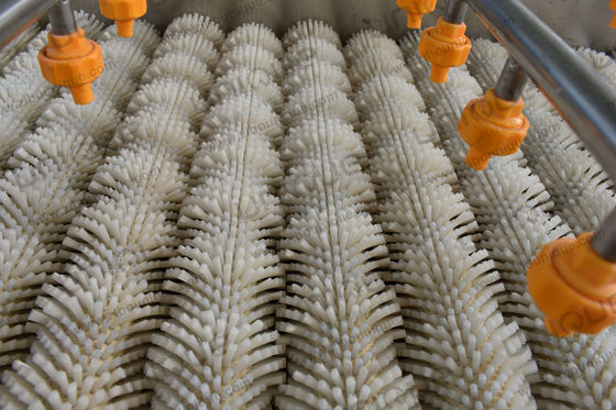 2021 Prickly Pear Fruit Washing Polishing Cleaning Machine with Stainless Steel 304