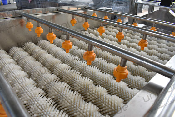 Function Washing Fruit and Vegetables Clam Shell Washing Machine for Seafood