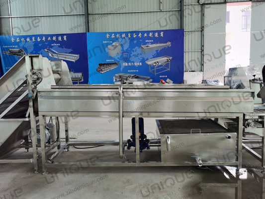 Continuous Vegetable and Fruit Spiral Brush Roller Washer with Cleaning Equipment