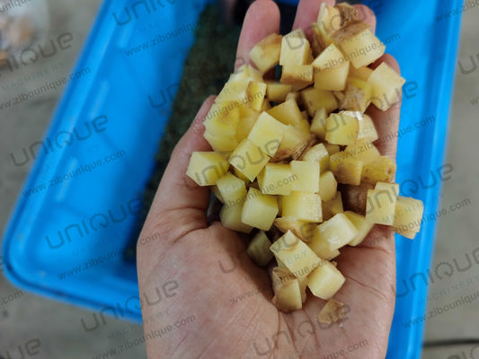 Year Potato Dicing Machine Industrial Vegetable Cutting Machine with Customized Voltage