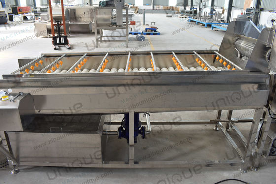 Continuous Vegetable and Fruit Spiral Brush Roller Washer with Cleaning Equipment