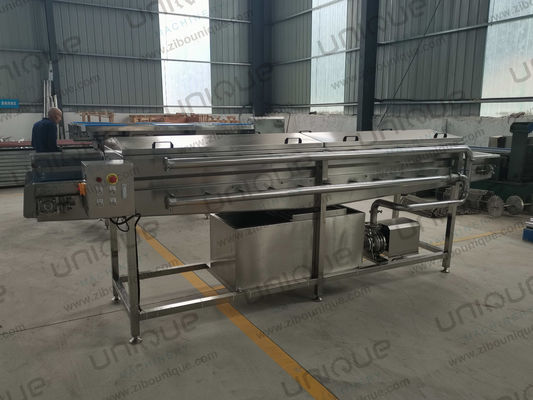 Customizable Voltage High Pressure Spraying Washing Machine for Fruit and Vegetables