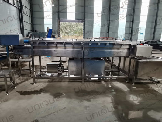 450 KG Green Onion Leek High Pressure Spraying Washing Cleaning Machine at Affordable