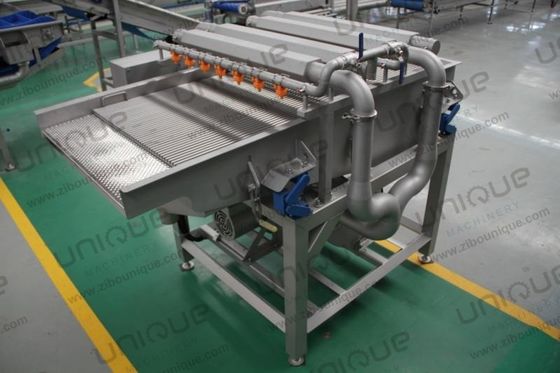 Palm Dates Dust Removing Washing Cleaning Vibrating Machine with Stainless Steel 304