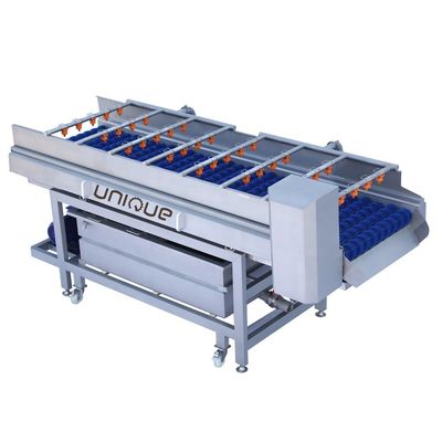 Function Washing Fruit and Vegetables Clam Shell Washing Machine for Seafood