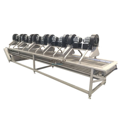 Hot Air Roller Belt Mesh Conveyor High Pressure Fans Air Dryer for Fruit and Vegetable