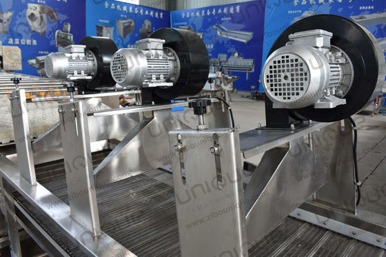 Hot Air Roller Belt Mesh Conveyor High Pressure Fans Air Dryer for Fruit and Vegetable