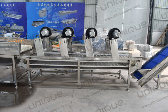 Hot Air Roller Belt Mesh Conveyor High Pressure Fans Air Dryer for Fruit and Vegetable