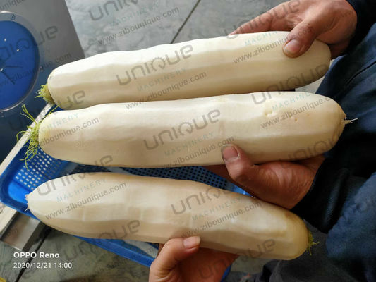 Big Root Vegetable Daikon Radish Mooli Skin Knife Peeling Machine 0.75kw