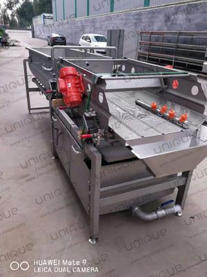 High Capacity 2000kg/h Vegetable Cutting Cabbage Lettuce Washing Processing Line Machinery