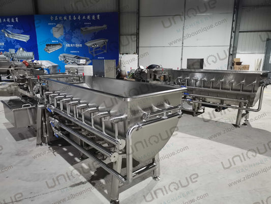 Upgrade Your Salad Line with Our and Improved Industrial Vegetable Washing Machine